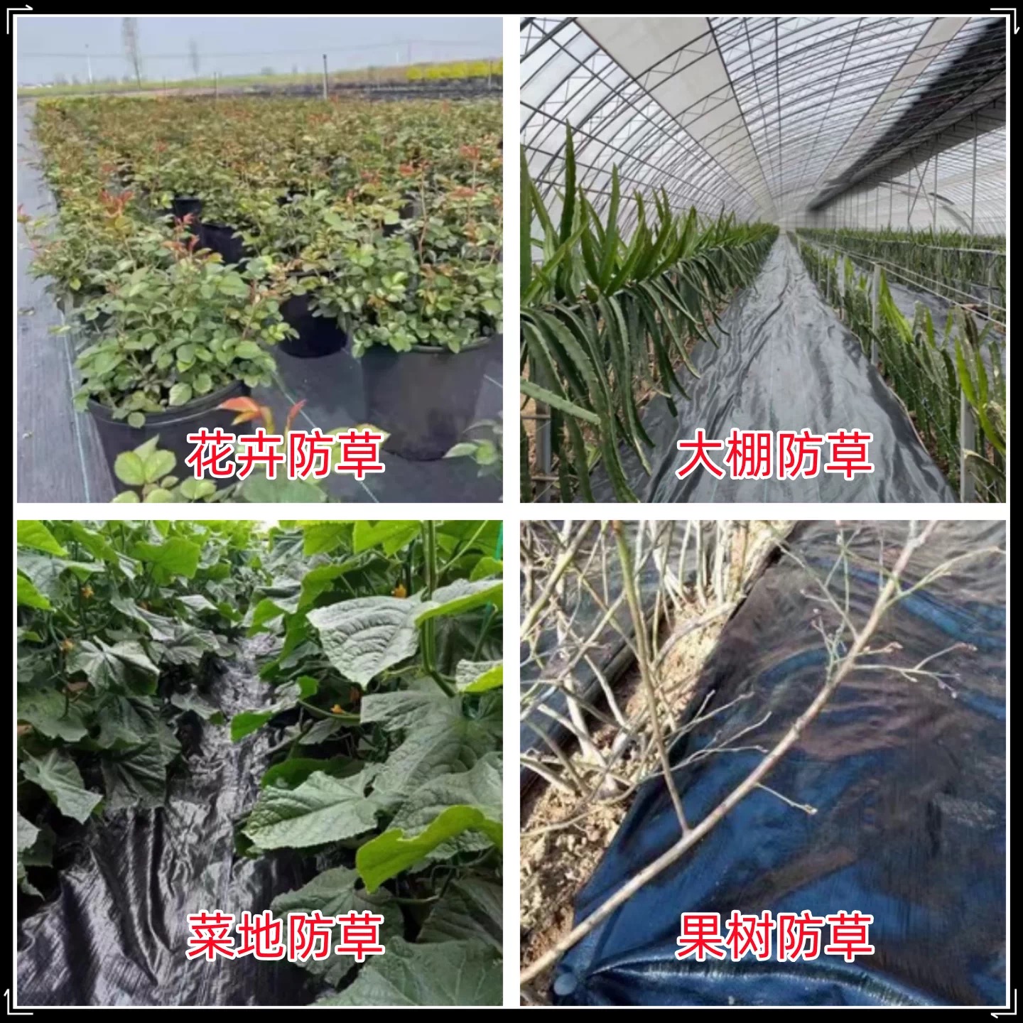 中卫市防草布防草布 - 哪里好