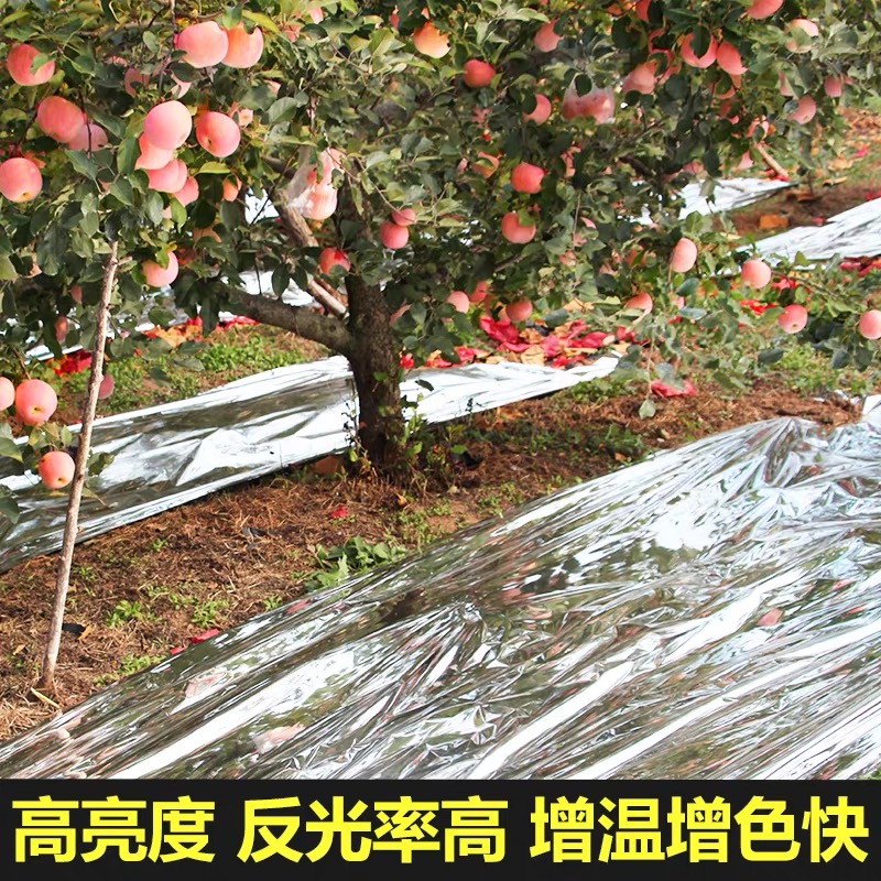 中卫市农用薄膜果树反光膜 - 排名